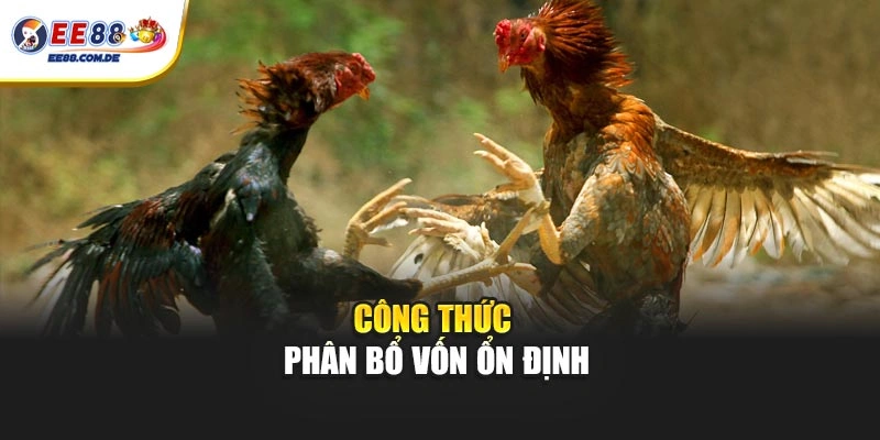 Công thức phân bổ vốn ổn định Công thức phân bổ vốn ổn định
