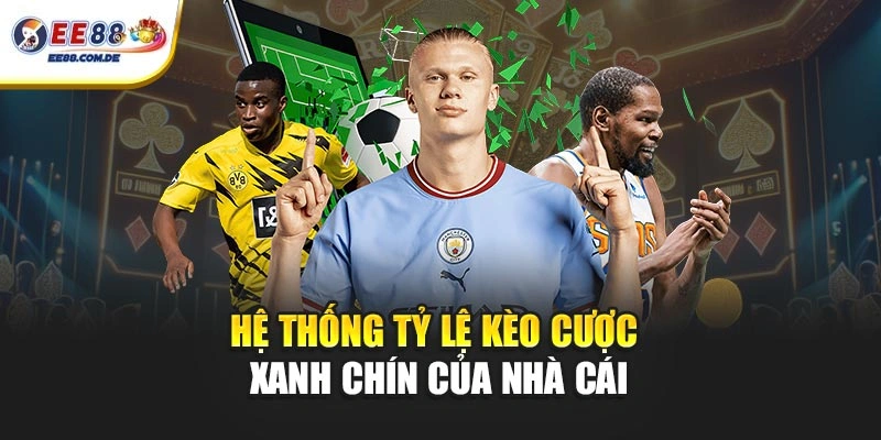 Hệ thống tỷ lệ kèo cược xanh chín của nhà cái Hệ thống tỷ lệ kèo cược xanh chín của nhà cái