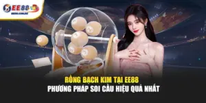 Rồng Bạch Kim EE88 được nhiều người quan tâm nhờ khả năng phân tích