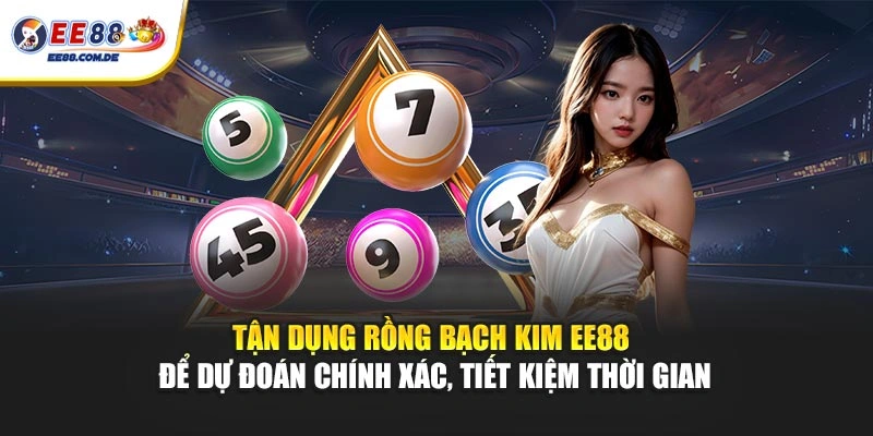 Tận dụng Rồng Bạch Kim EE88 để dự đoán chính xác, tiết kiệm thời gian